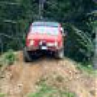 Monte Lauer