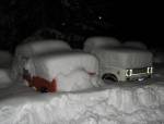 12663ScoutsInSnow.jpg