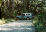 14466LS_OLD.jpg