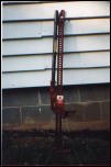 539IHjack0003.jpg