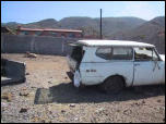 597baja1000scoutcow.jpg