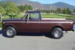 74_brown_pup_mod.jpg