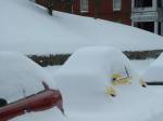 43SnowBugJPG.JPG