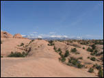 20100_0025.JPG