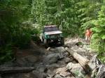 339Dan-crawlin.jpg