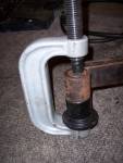 springs_3928.JPG
