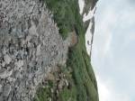 IMG_6845.JPG